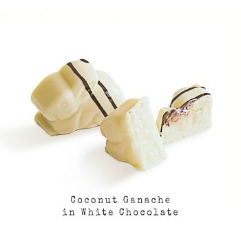 COCONUT GANACHE IN WHITE CHOCOLATE bunny