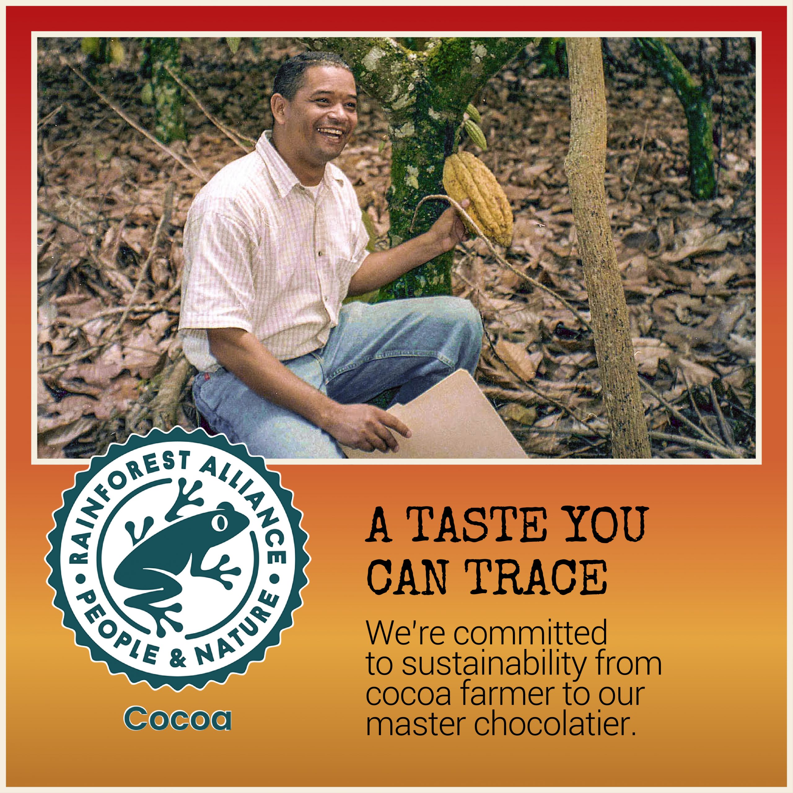 A smiling cocoa farmer holding a cacao pod in a lush cacao plantation, representing Chocolove’s commitment to sustainability. The image highlights the connection between cocoa farmers and Chocolove’s Master Chocolatier. Includes the Rainforest Alliance logo and the text: 'A Taste You Can Trace. We’re committed to sustainability from cocoa farmer to our master chocolatier.'