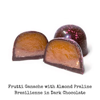 Chocolove Exotic Fruits Bonbon Collection - Frutti Ganache with Almond Praline in Dark Chocolate