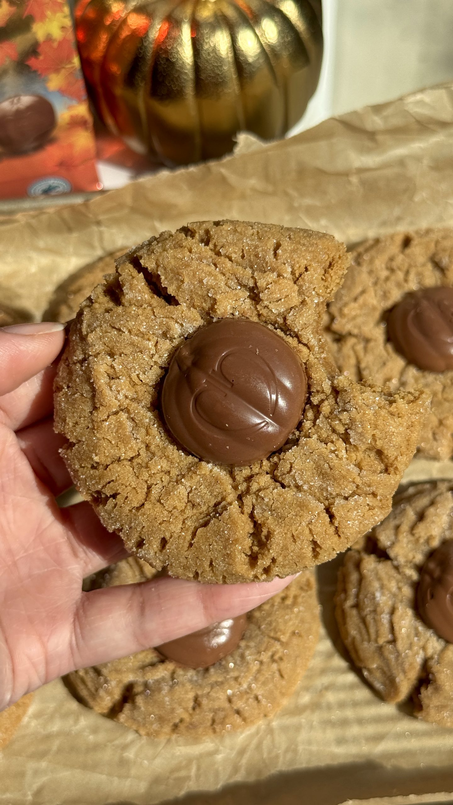 Close-up of a hand holding a soft peanut butter cookie topped with a Chocolove Milk Chocolate Pumpkin Spice Pumpkin, showing its rich chocolate center and sugar-coated edges.