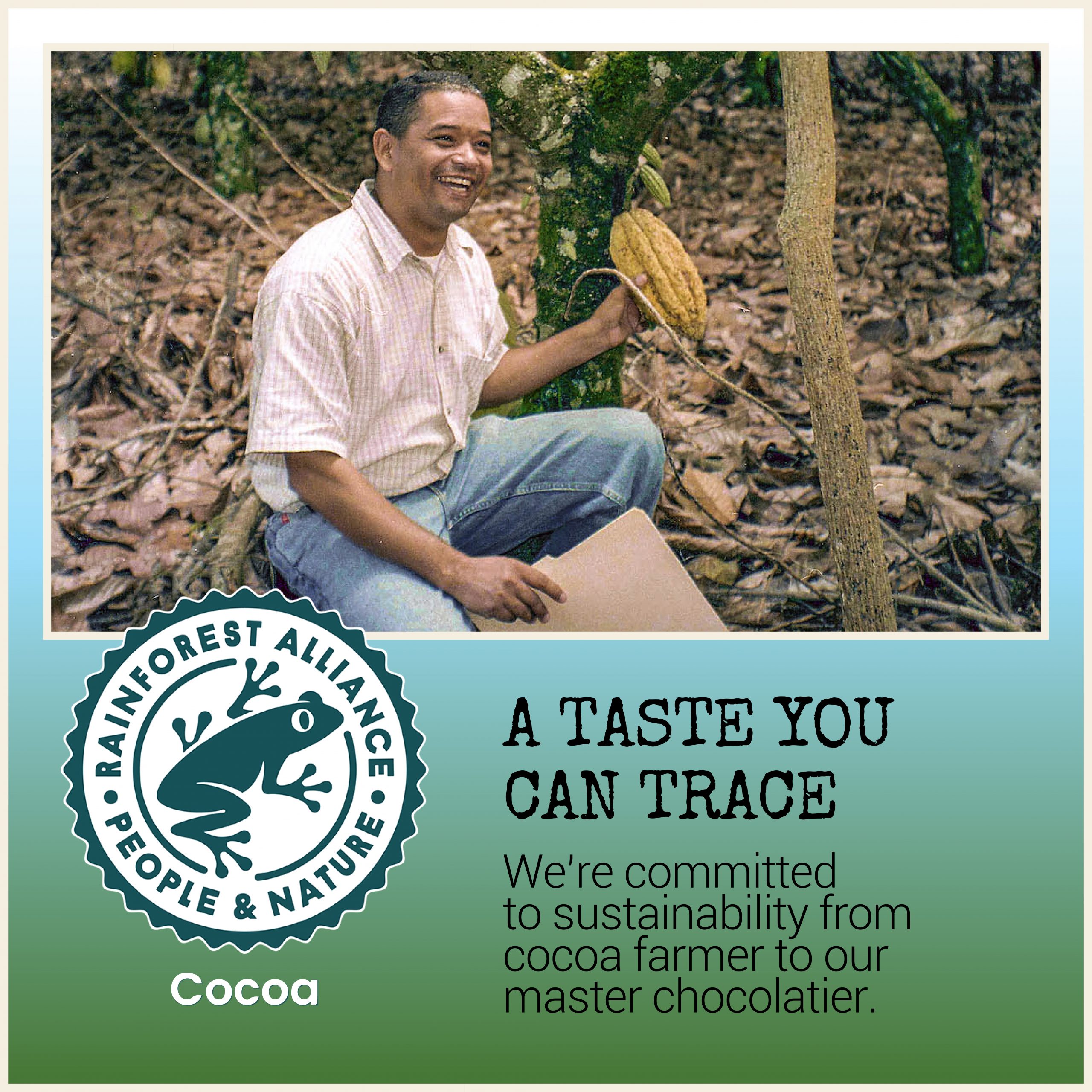 Marshmallow Eggs in Milk Chocolate Bites - Image 8